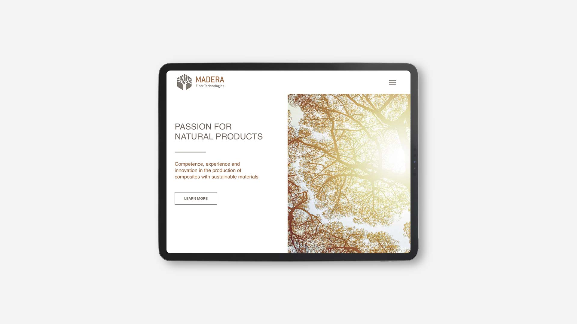 TabletProMockup_madera_1